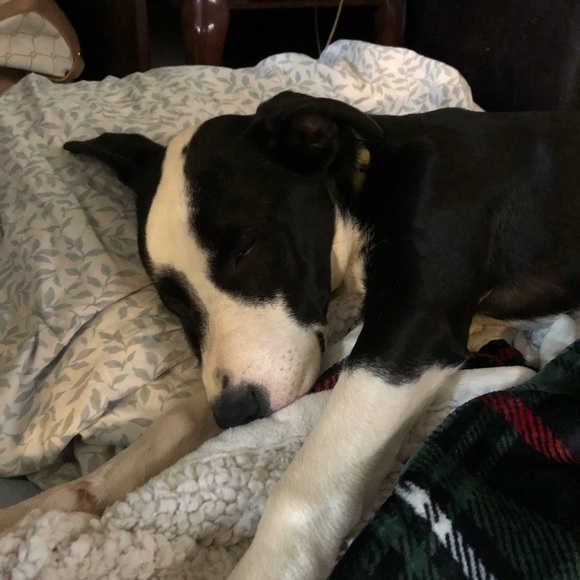 We Finally Did It! - Picture 3 of 8